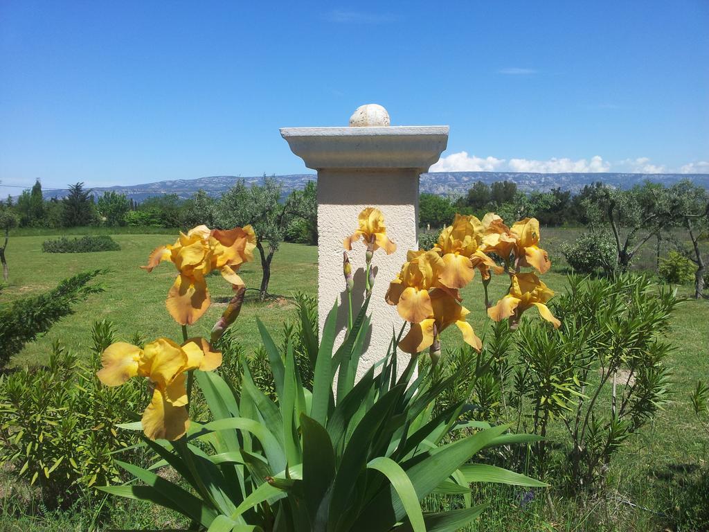 Lamanderie En Provence Bed & Breakfast Alleins Eksteriør bilde